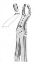  Fig. 67A upper third molars 
